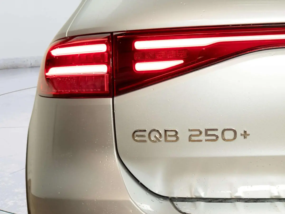 250+ Business Solution AMG 71 kWh | Panorama dak