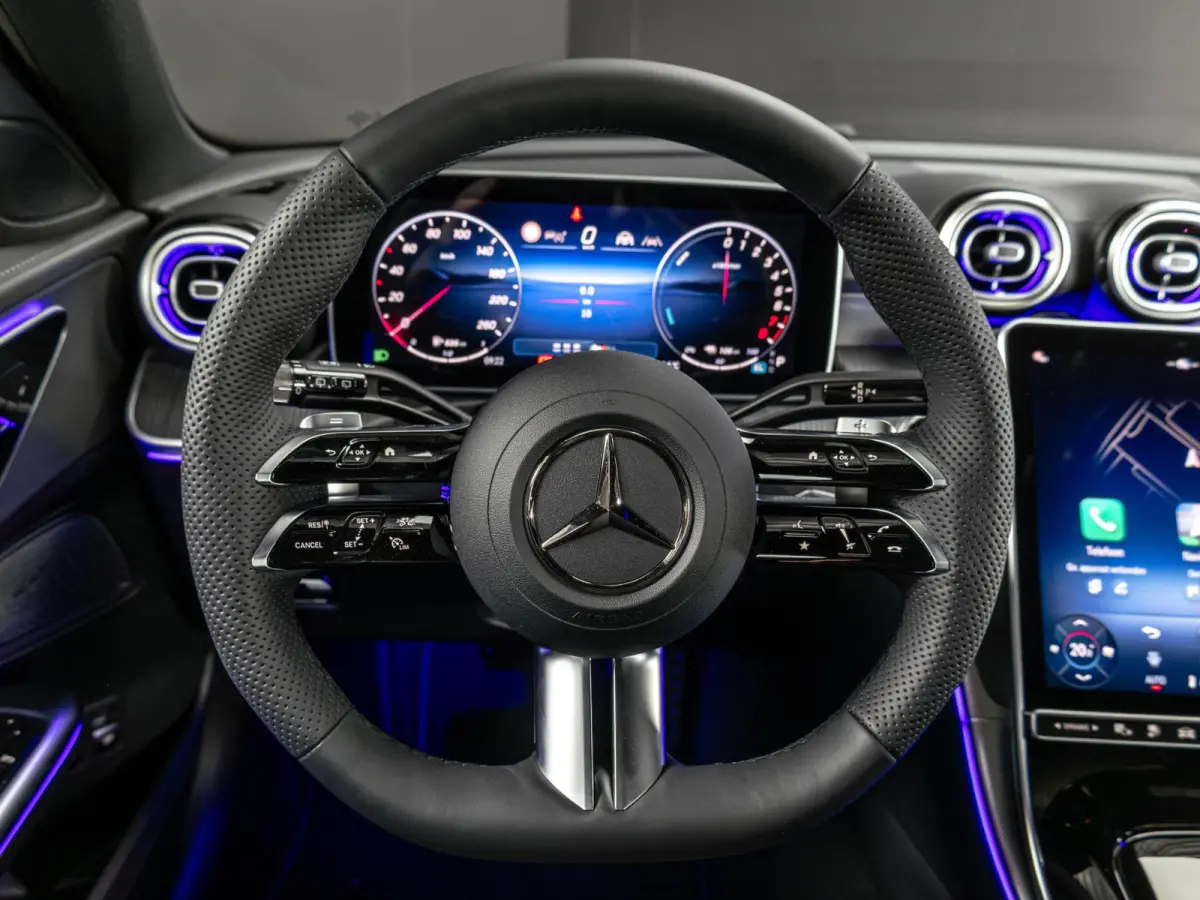 300 e Business Solution AMG Panorama dak
