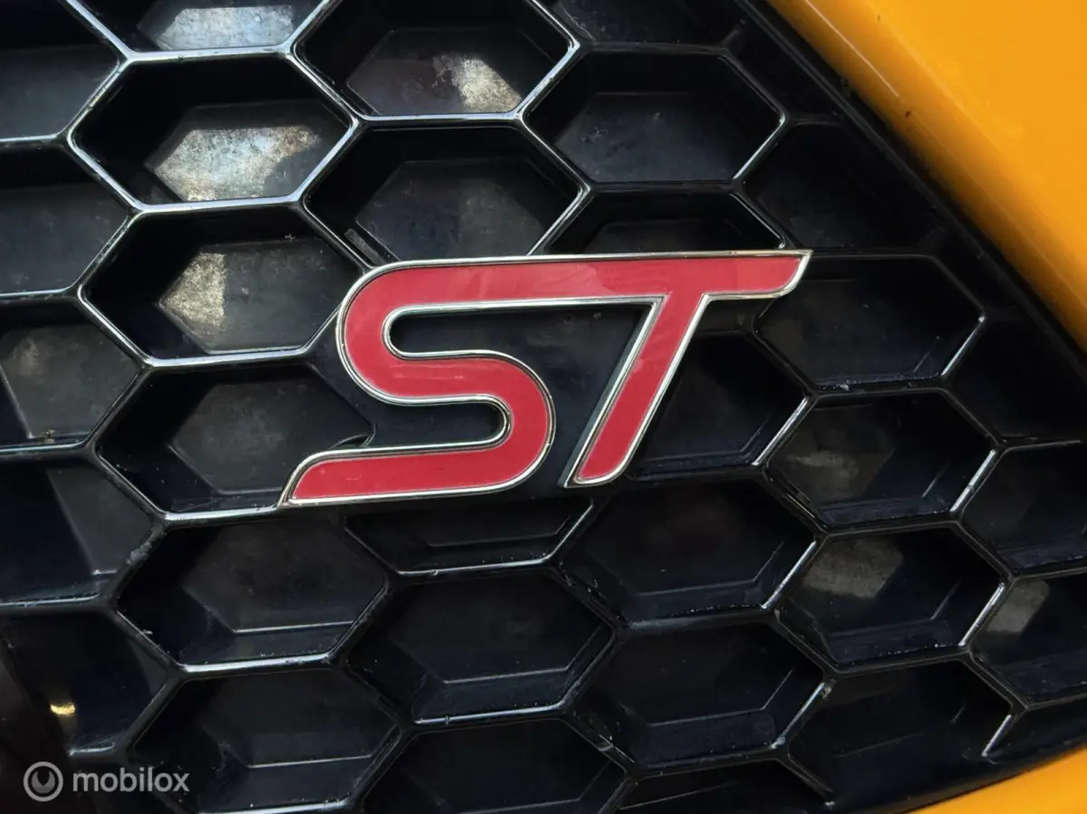 2.0 EcoBoost ST-3 300PK | Mountune | Maxton | Sony | Blind spot | Recaro | Winterpack | Camera | Stoelverwarming | Bomvol!