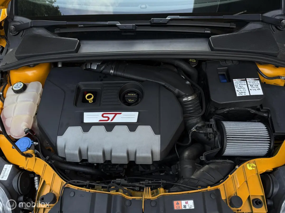 2.0 EcoBoost ST-3 300PK | Mountune | Maxton | Sony | Blind spot | Recaro | Winterpack | Camera | Stoelverwarming | Bomvol!