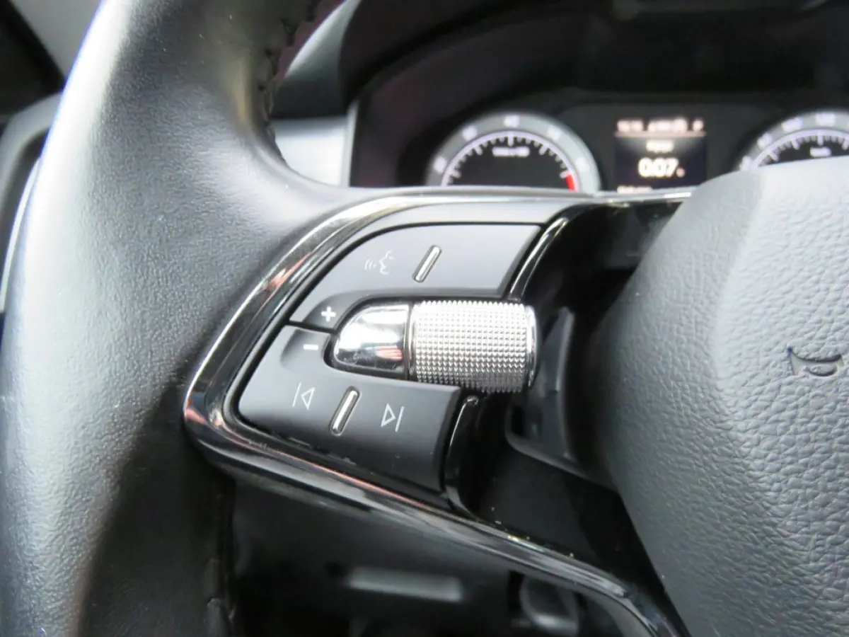 1.5 TSI 150pk DSG-aut. BUSINESS ED. / Trekhaak / Canton / Elec.klep / BOVAG garantie