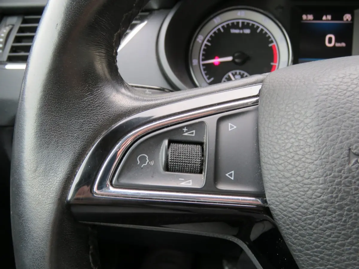 1.0 115pk TSI Greentech Business Edition Plus / Led / Came