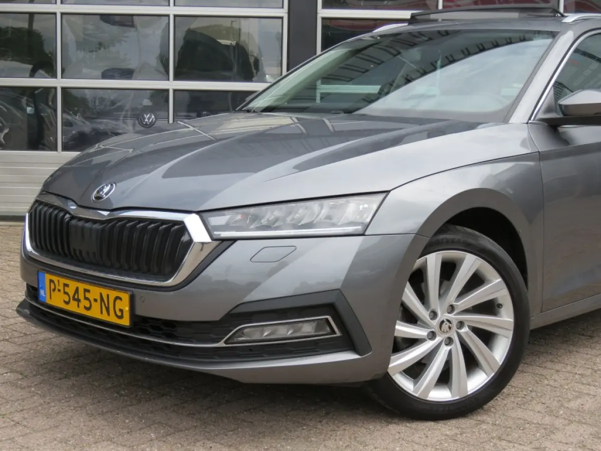 1.0 TSI Business Edition Plus / Pano / Trekhaak / Elec.acherklep / 18 Inh / Stoel&stuurwielverw. / BOVAG garantie