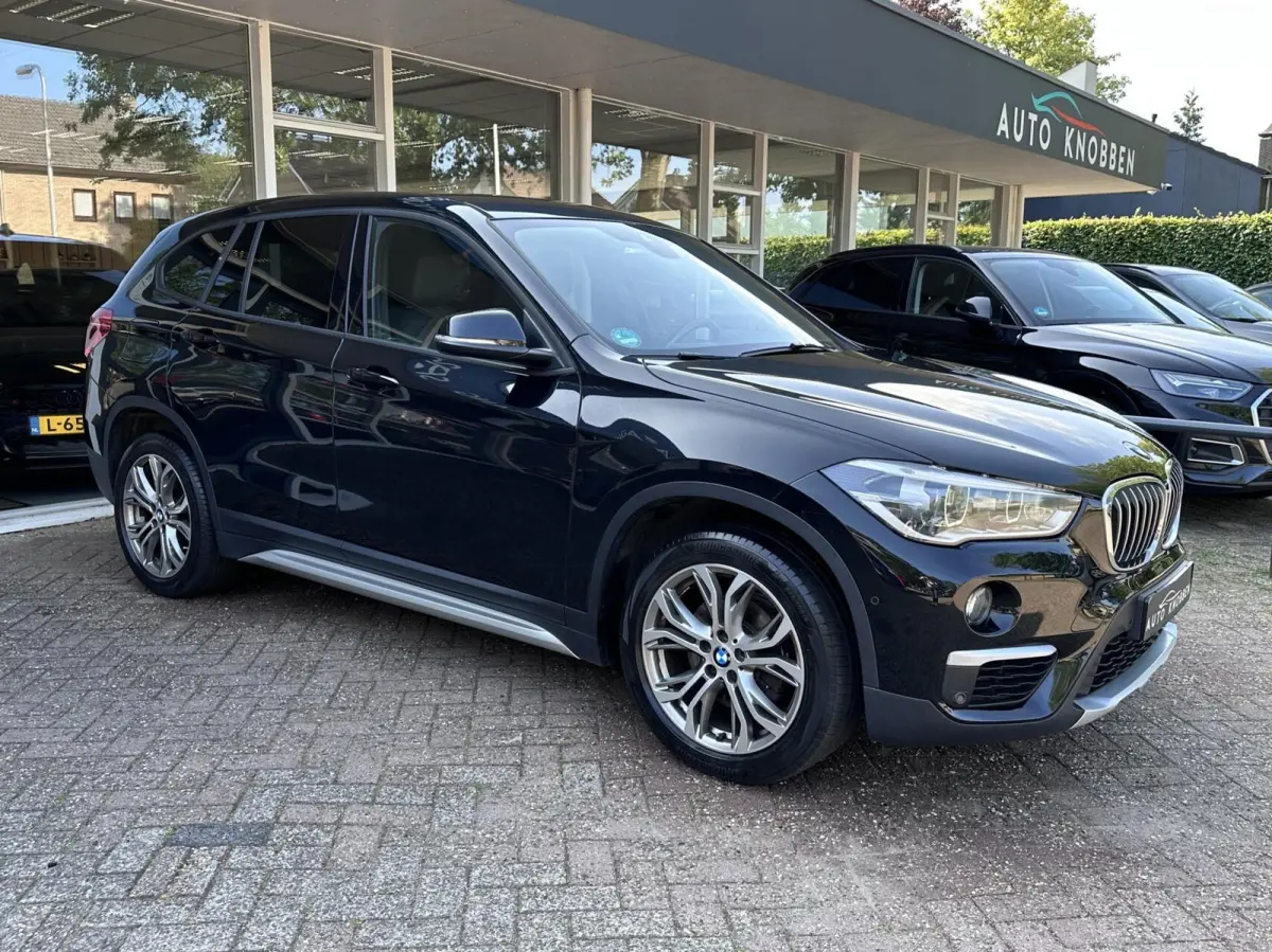 sDrive18i Sport Led, Leer, Head-up, Camera, LM..