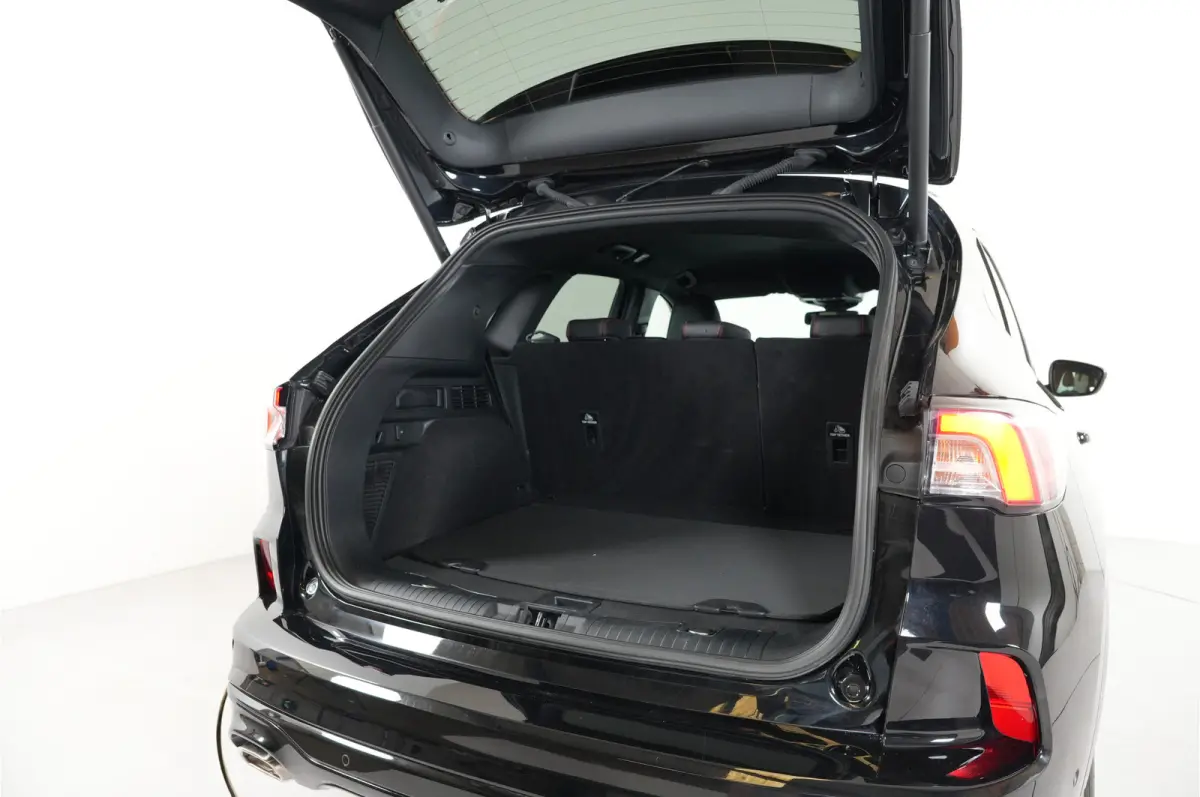 2.5 PHEV ST-Line X | Cruise adaptief | CarPlay/Android | Camera |