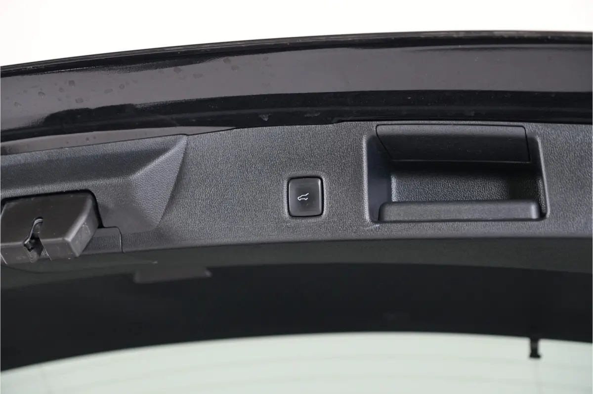 2.5 PHEV ST-Line X | Cruise adaptief | CarPlay/Android | Camera |