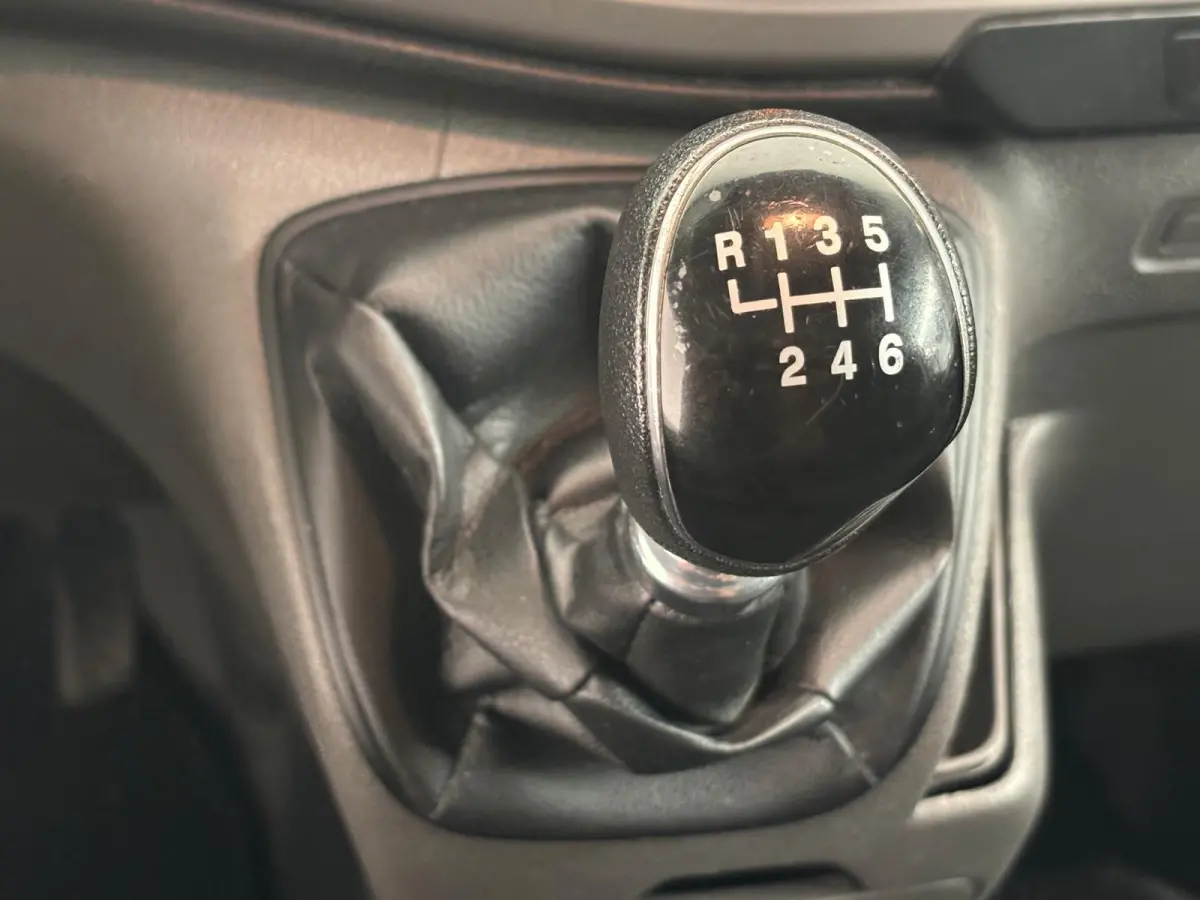 300 2.0 TDCI L2H1 Trend MHEV Dubbele Cabine Airco Cruise Control