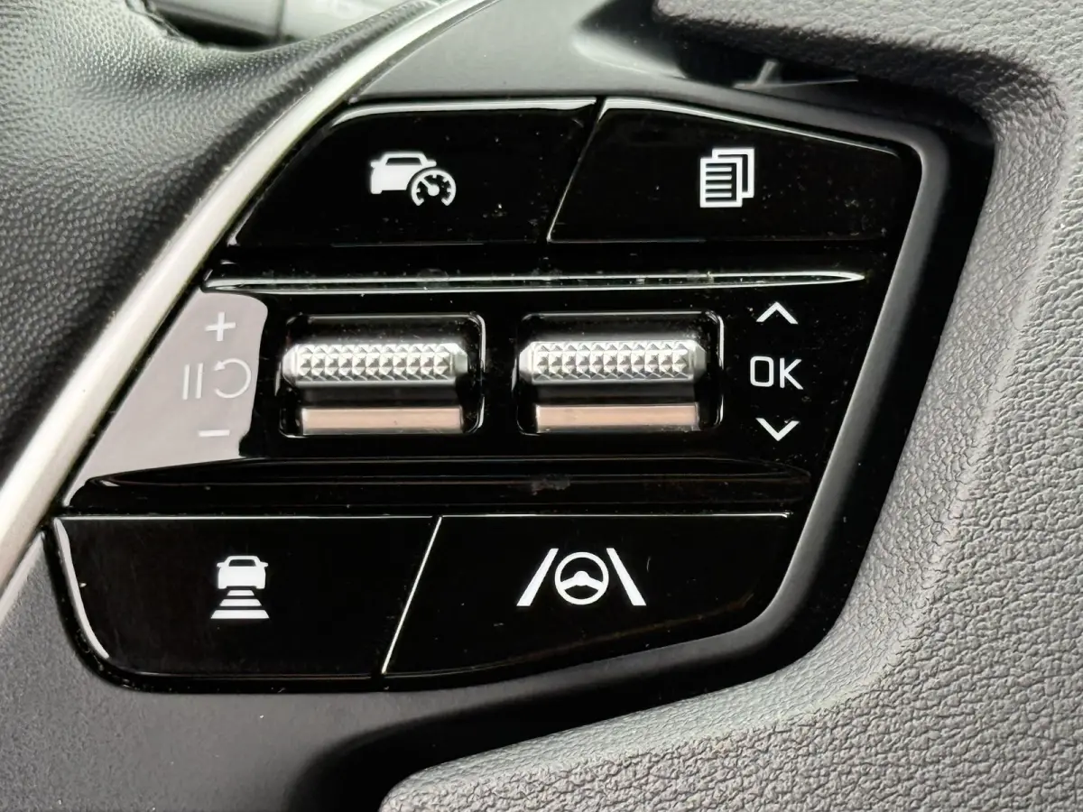 Plus 77.4 kWh SOH 97,7% / Black Package GT / Warmtepomp / Trekhaak / 3 Fase / Stoelverwarming & Ventilatie / MERIDIAN Surround-System / Adaptieve Cruise /