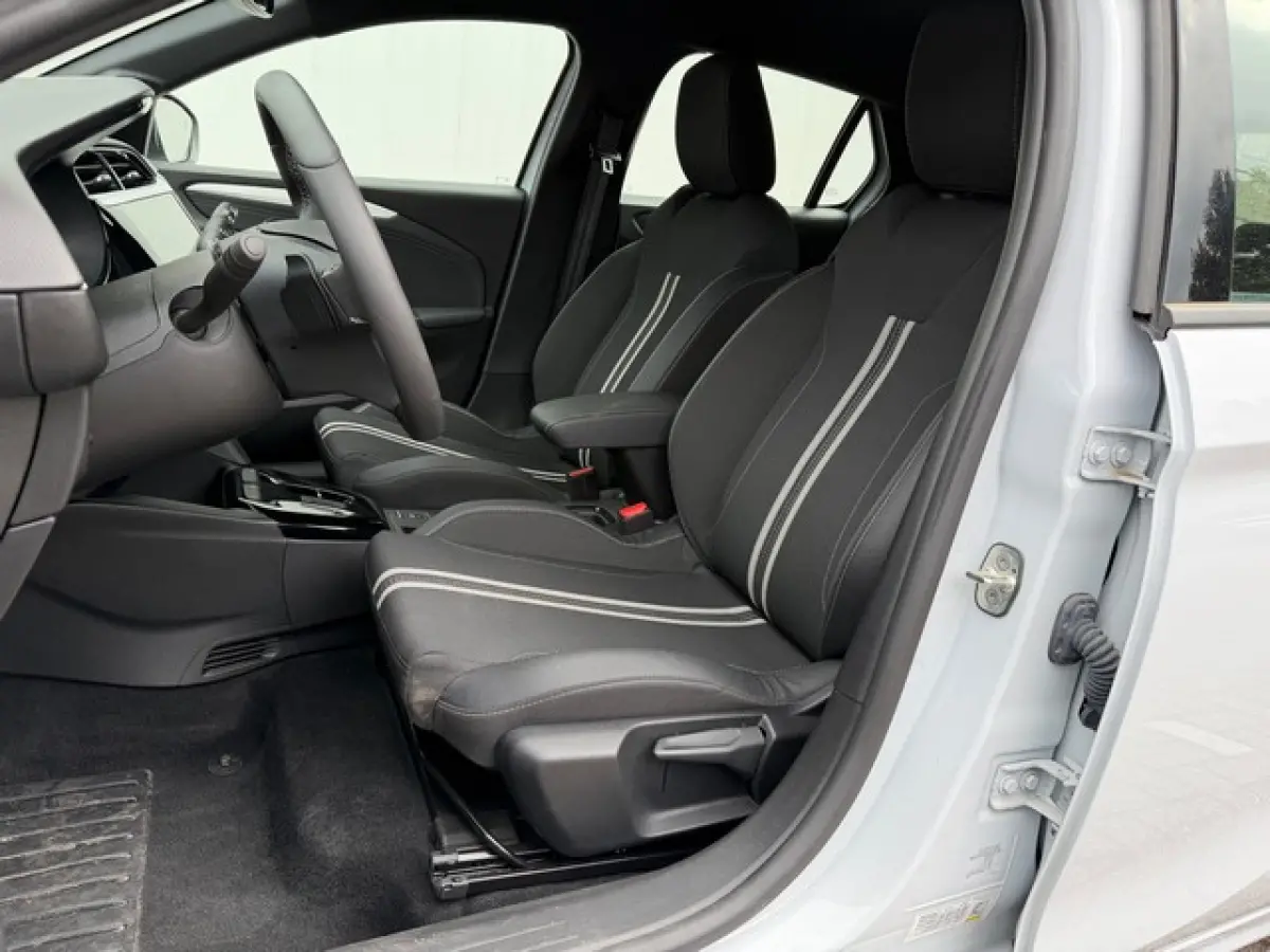 1.2 Turbo Hybrid GS met CarPlay, Camera, 17inch Velgen, LED, Dodehoek