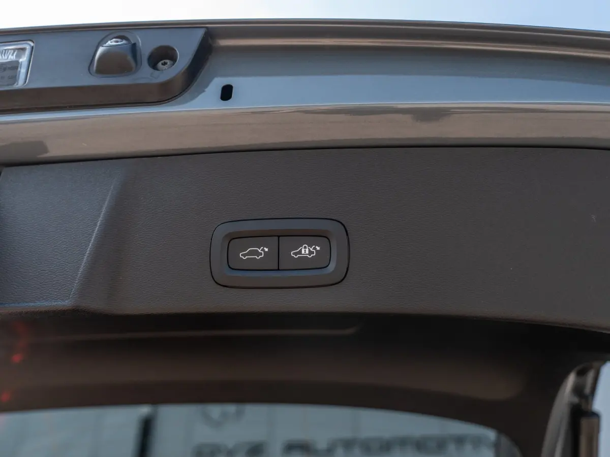 Single Motor Plus 69 kWh | SOH 95% | Carplay | Camera | Pilot Assist