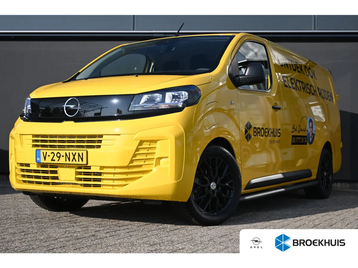 Electric L3 50 kWh | Sidebars | Betimmering | 17"LMV | Achteruitrijcamera | Navigatie by App | !!
