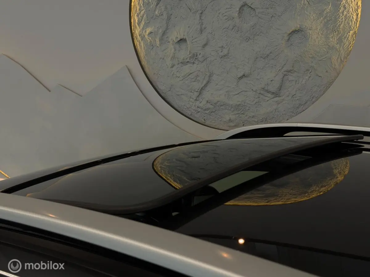 1.0 T-GDi ExecutiveLine Schuifdak/Leer/Camera/Carplay