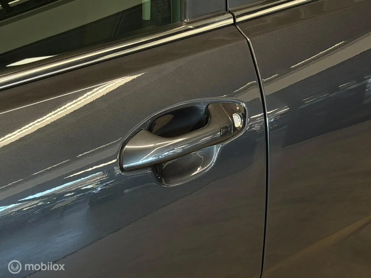 1.0 T-GDi ExecutiveLine Schuifdak/Leer/Camera/Carplay