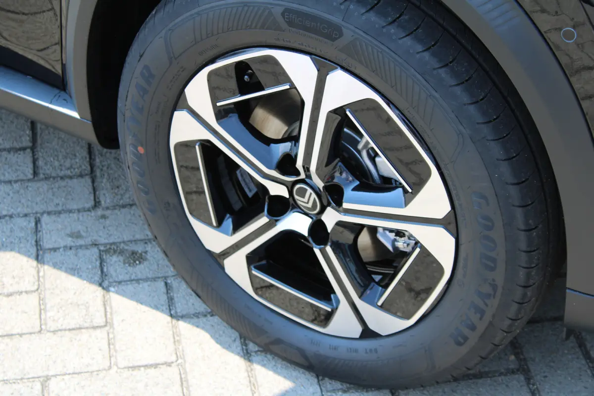 Max 113pk Extended Range 54 kWh Keyless Entry | Stoel Verwarming | Stuur Verwarming | Camera