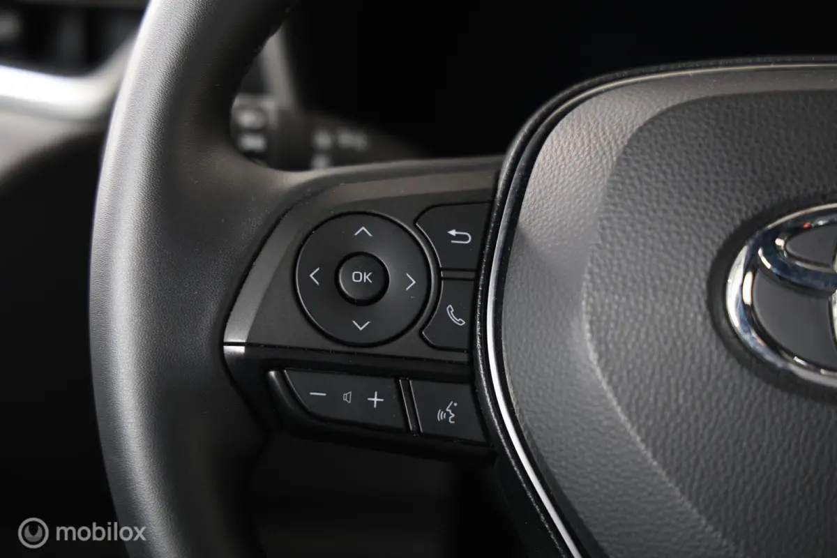 Hybrid 140 Dynamic - Stuur/Stoelverwarming - Carplay - Cruise control adaptief