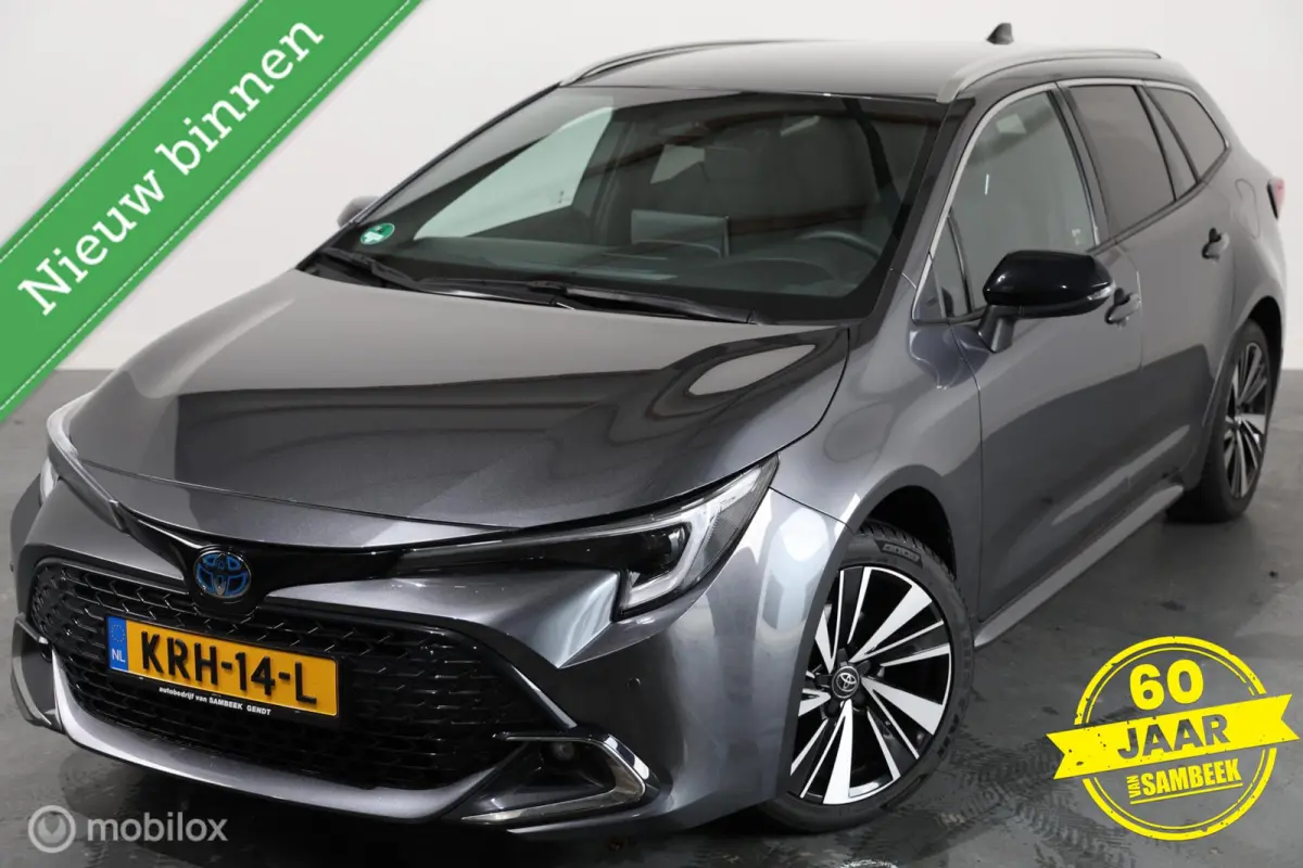 Hybrid 140 Dynamic - Stuur/Stoelverwarming - Carplay - Cruise control adaptief