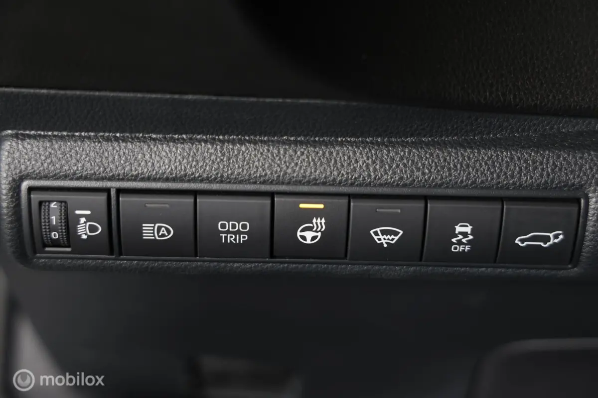 Hybrid 140 Dynamic - Stuur/Stoelverwarming - Carplay - Cruise control adaptief