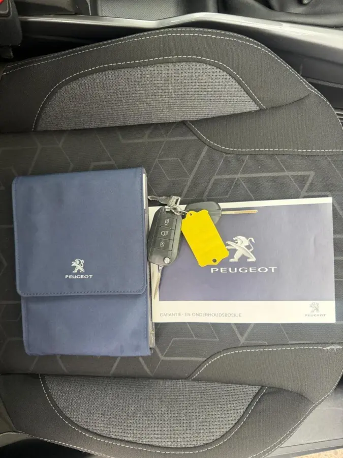 1.2 Blue Lion/AIRCO/PANO/TREKH/CARPLAY/APK/NAP