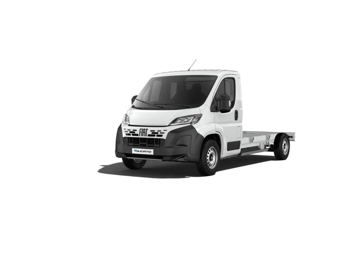 Professional Standaard - Chassis Cabine | Cruise control met begrenzer