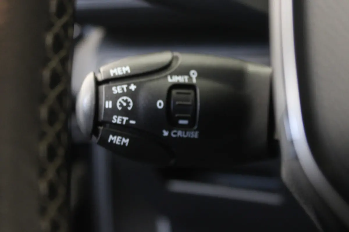 1.2 PureTech Blue Lease Executive |Navi|Leder|