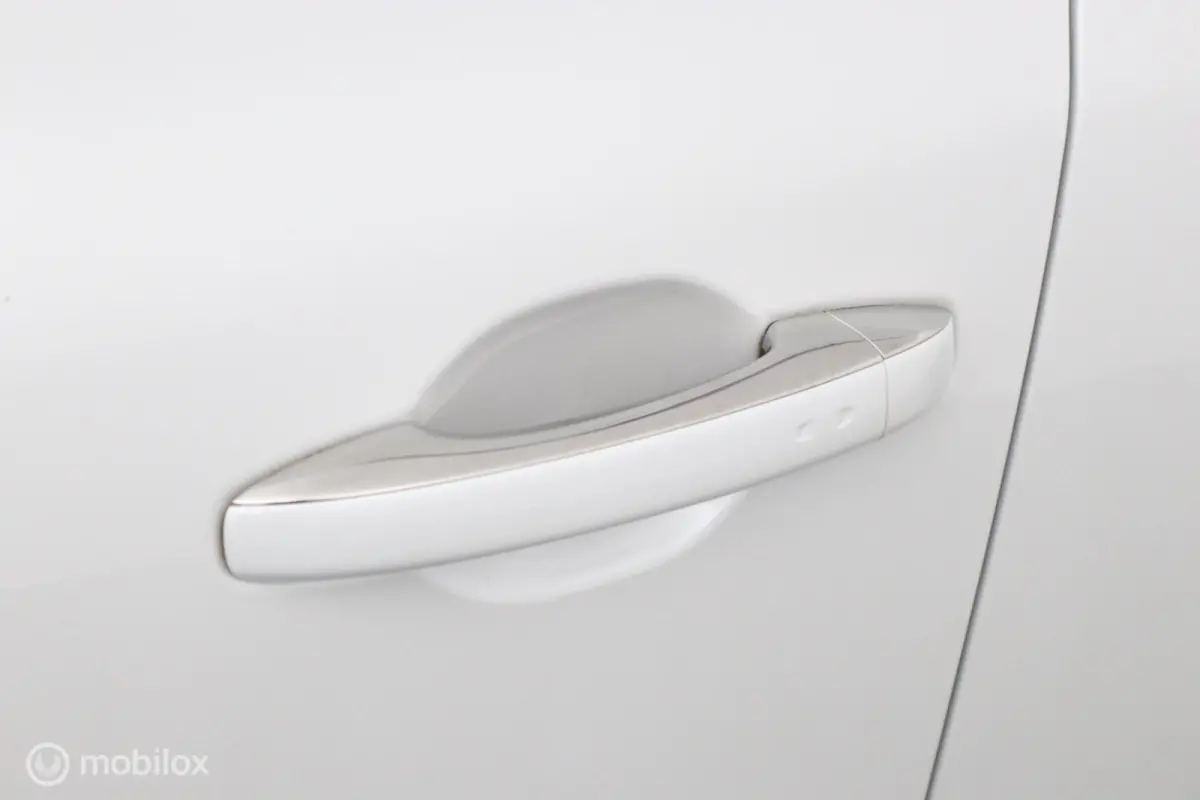1.2 TCe Bose R-LINE