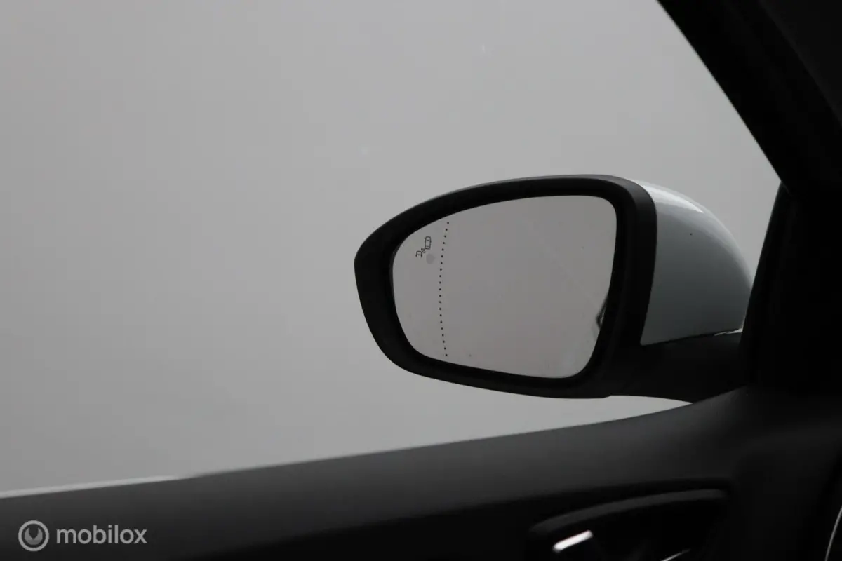1.2 TCe Bose R-LINE