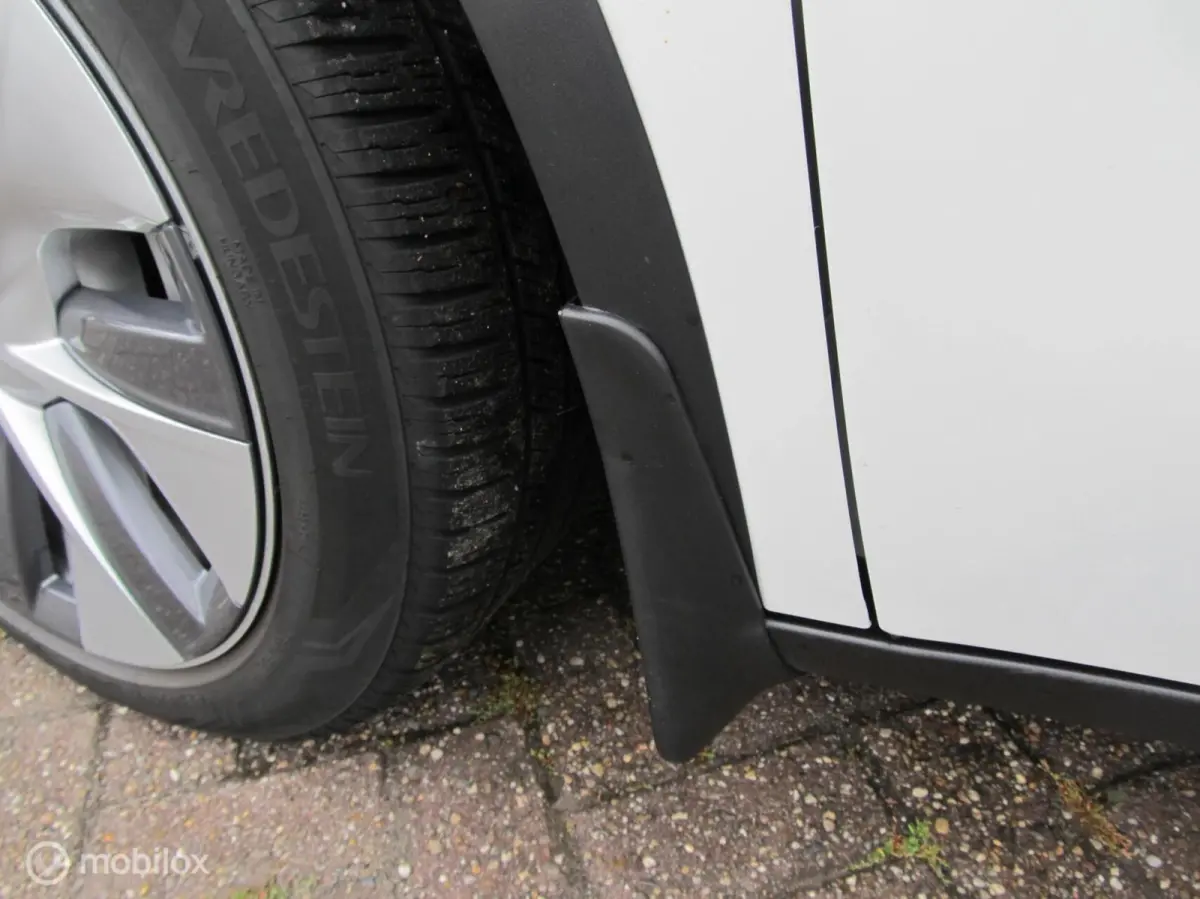 RWD 58 kWh, met BYD blade accu, 135000 km, top