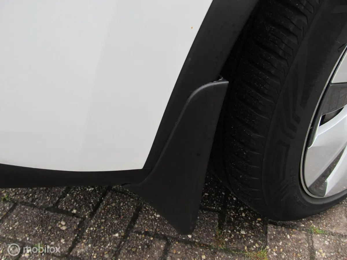 RWD 58 kWh, met BYD blade accu, 135000 km, top