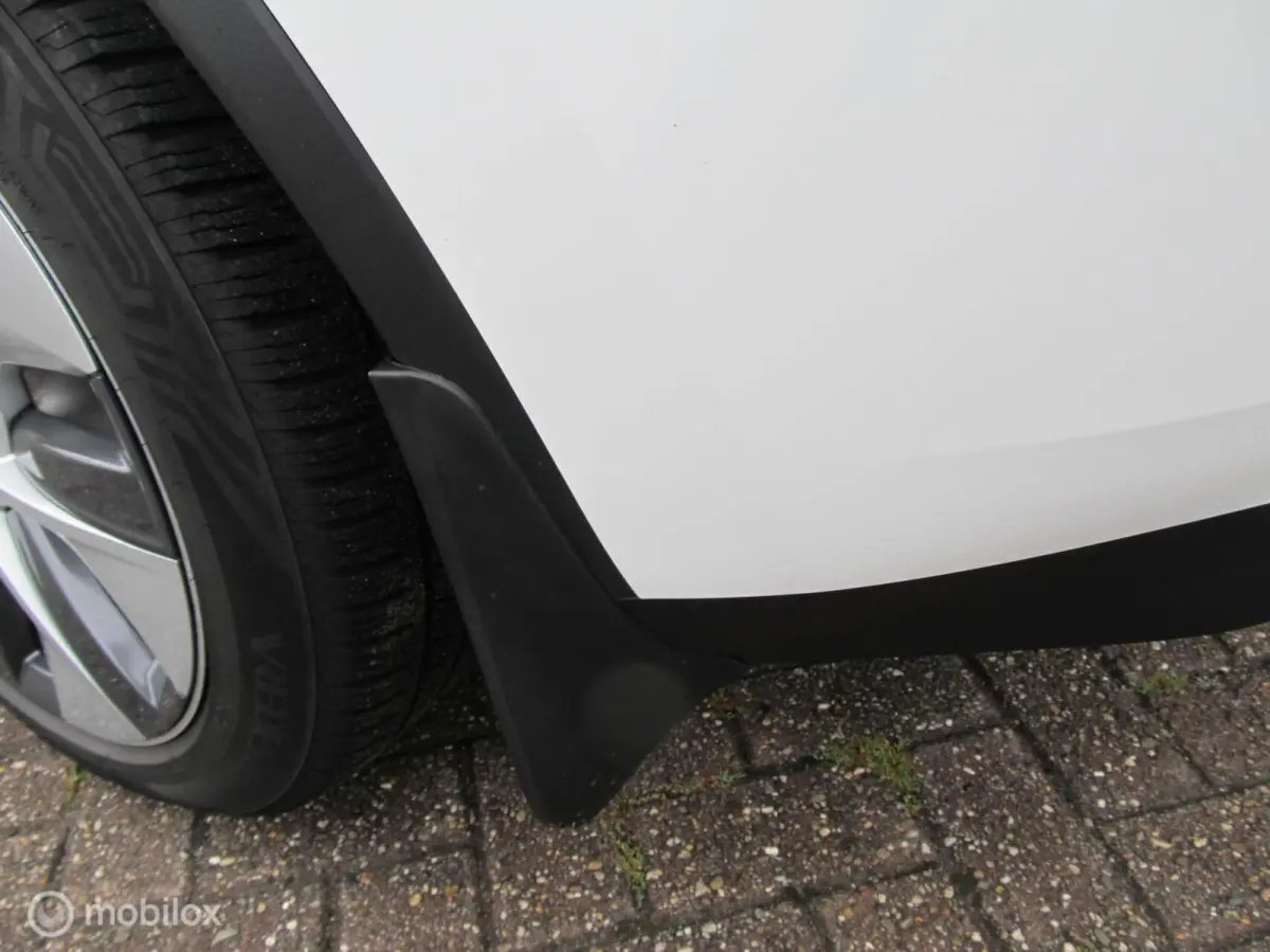 RWD 58 kWh, met BYD blade accu, 135000 km, top