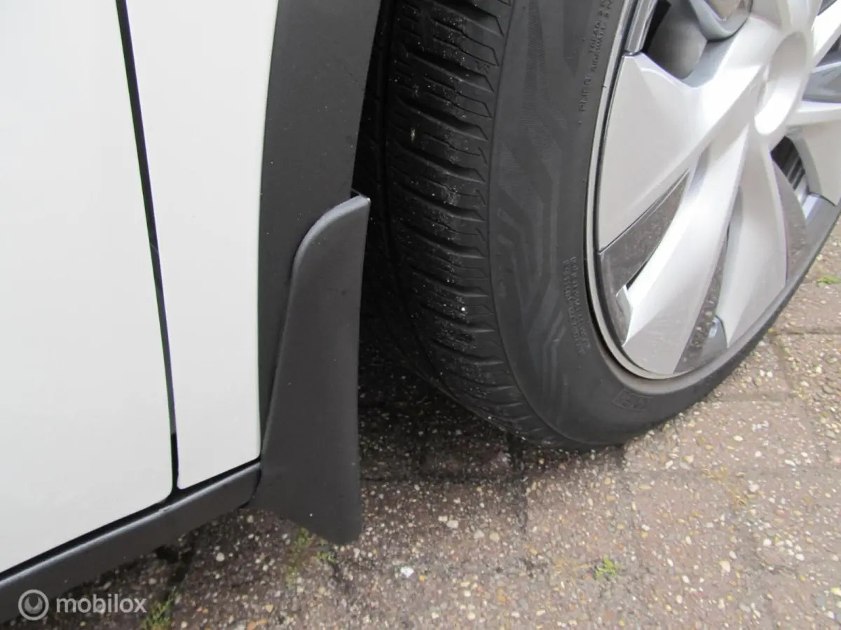RWD 58 kWh, met BYD blade accu, 135000 km, top
