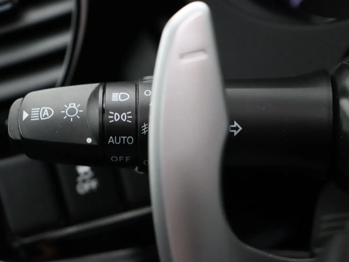 2.4 PHEV Instyle | Leder | Panorama dak | Stoelverwarming | Trekhaak |