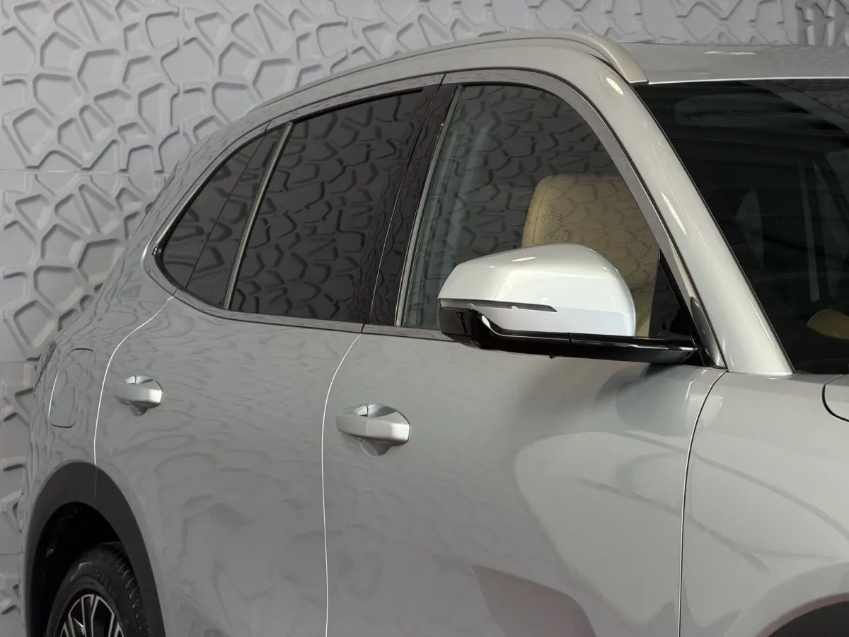 1.5 MAX+ PHEV LONG RANGE BRUIN LEER 29,8 KWH | 136km WLTP | PANORAMADAK | MASSAGE /STOEL/VERW/KOELING Geely Wijchen