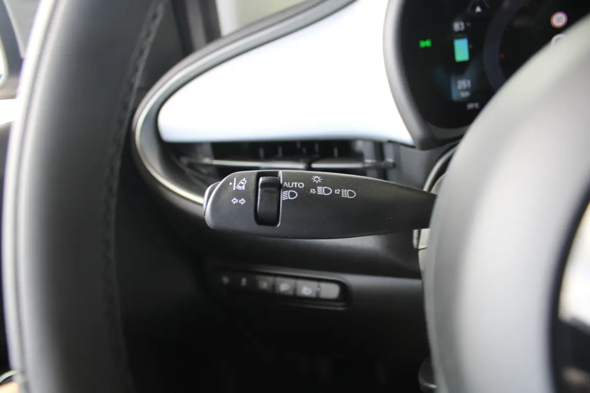 Icon 42 kWh | Camera | Navigatie | Dodehoek detectie | Cruise control | Climate control |