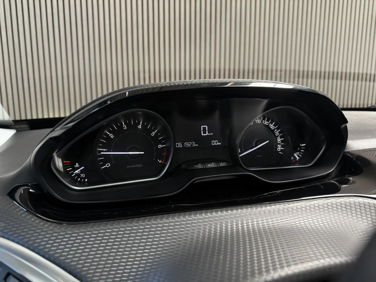 1.2 PureTech Blue Lion | Panorama | Carplay | Dealer onderhouden