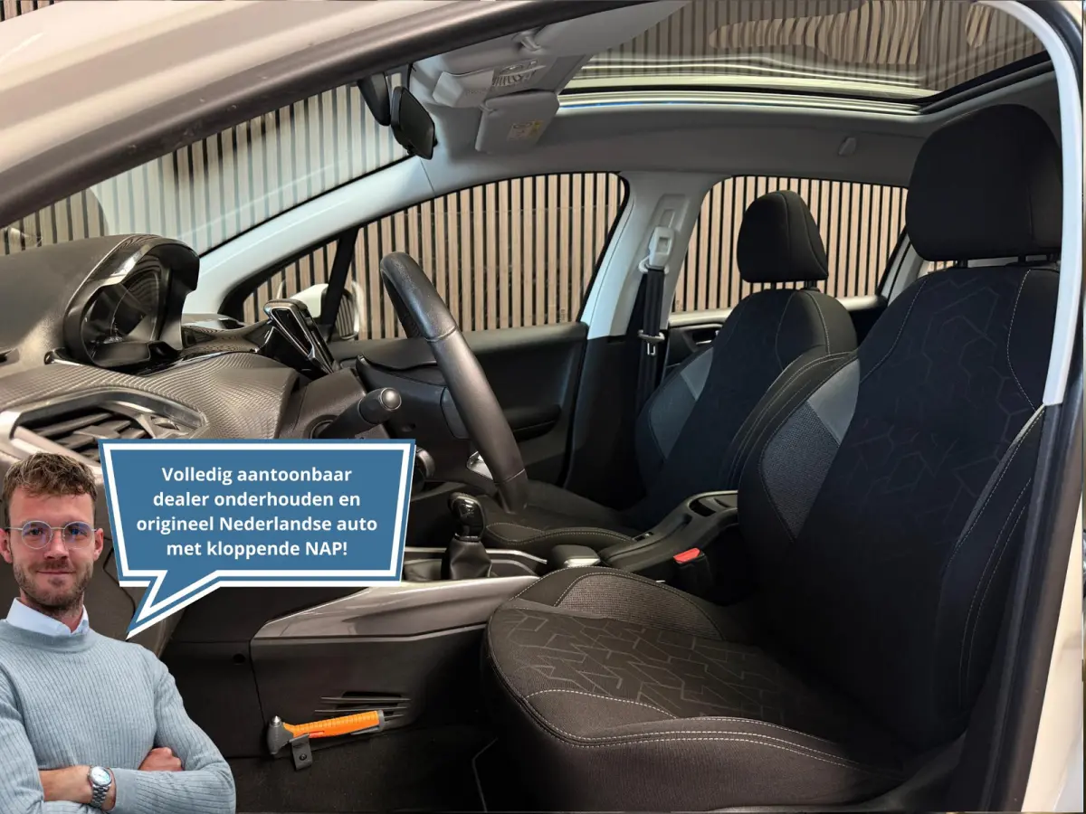 1.2 PureTech Blue Lion | Panorama | Carplay | Dealer onderhouden