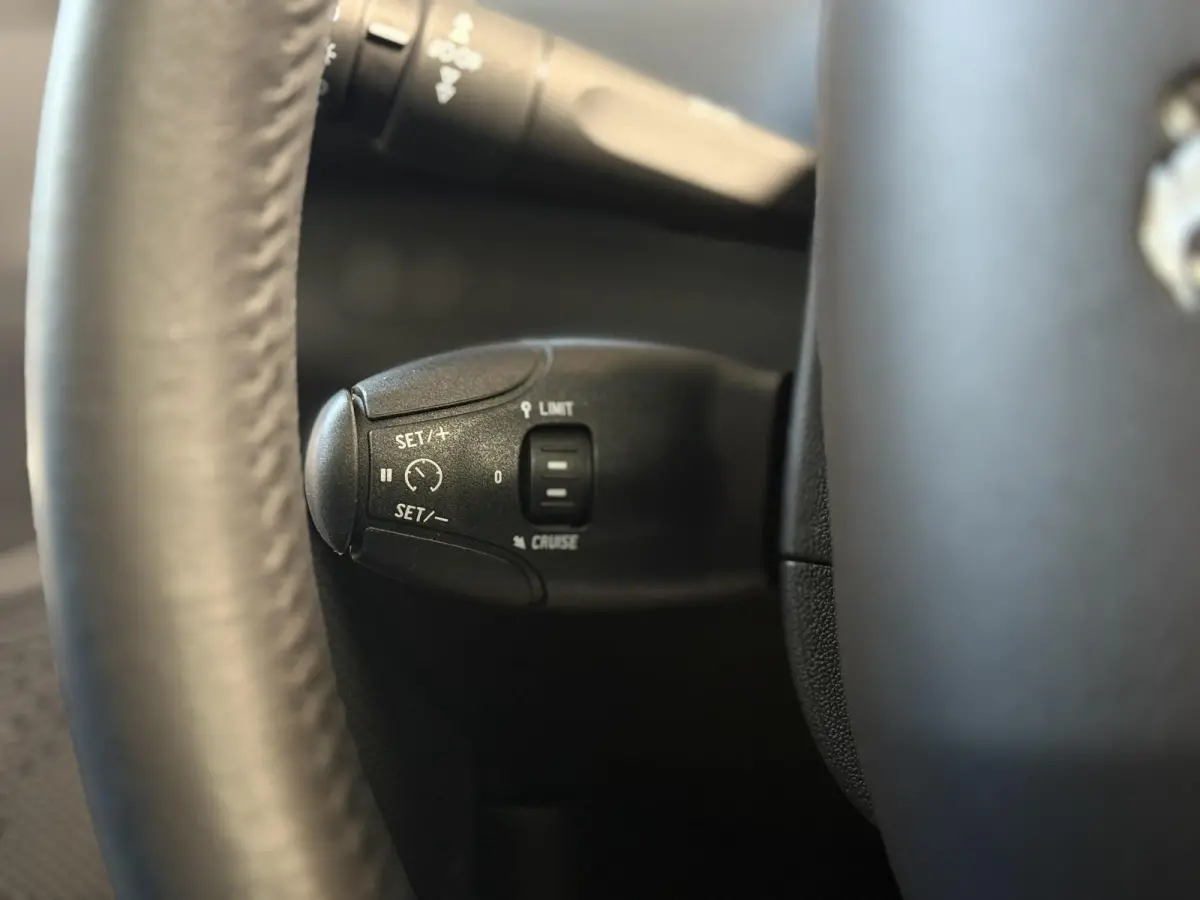 1.2 PureTech Blue Lion | Panorama | Carplay | Dealer onderhouden