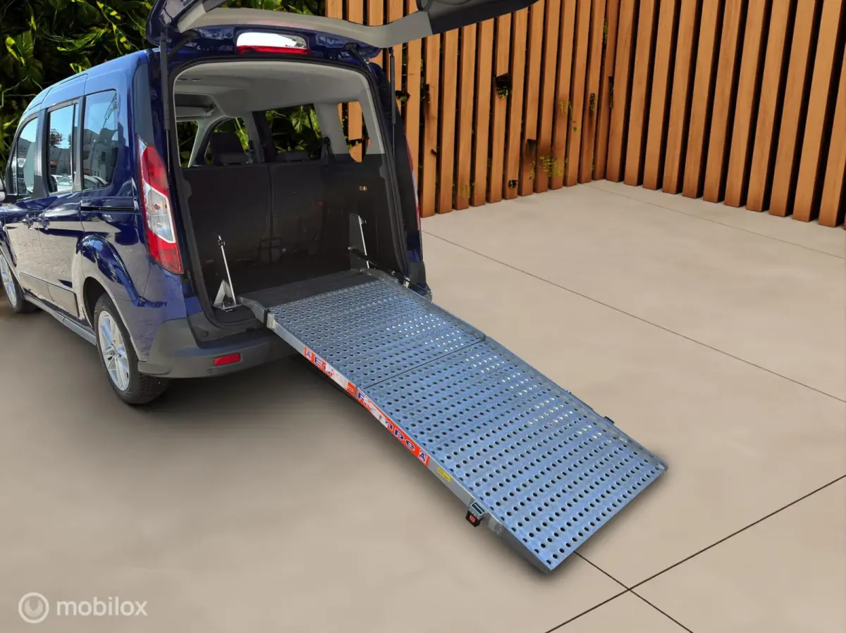 Compact 1.0 Trend