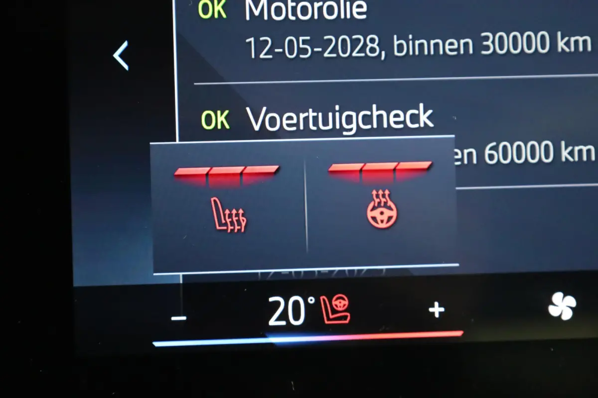 225e xDrive | M Sport | Panoramadak | Driving Assistant Professional | Comfort Access | Head-Up Display | Trekhaak