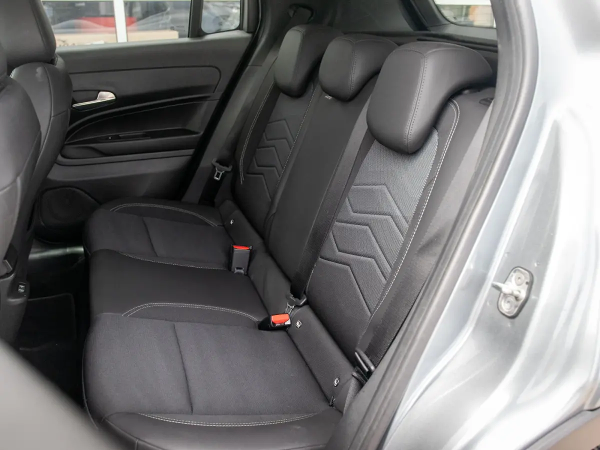 Summit 54 kWh | SOH 96,1% | Infotainment Pack | Bicolore