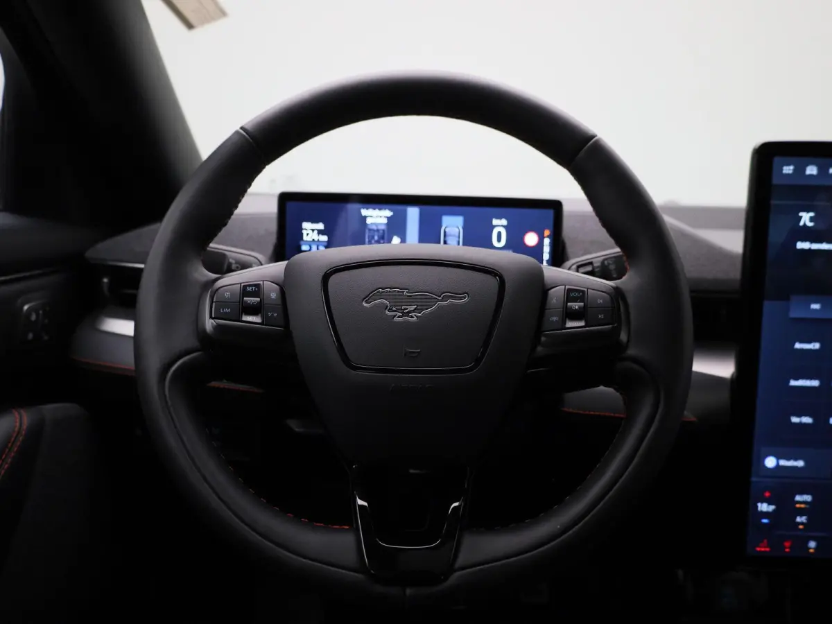 Extended First Edition AWD 98 kWh Afneembare trekhaak | Panorama dak | Elektrische Voorstoelen