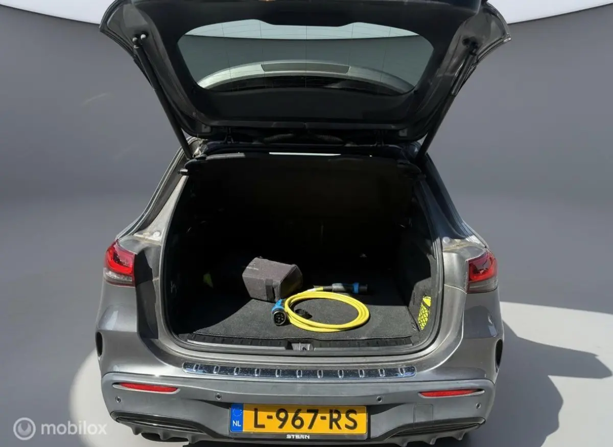 250 Business Solution AMG 67 kWh
