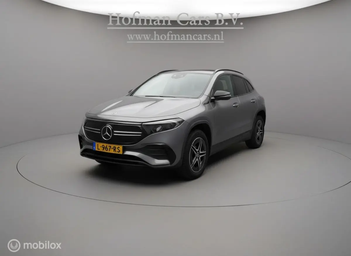 250 Business Solution AMG 67 kWh