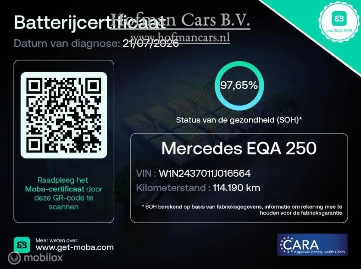 250 Business Solution AMG 67 kWh