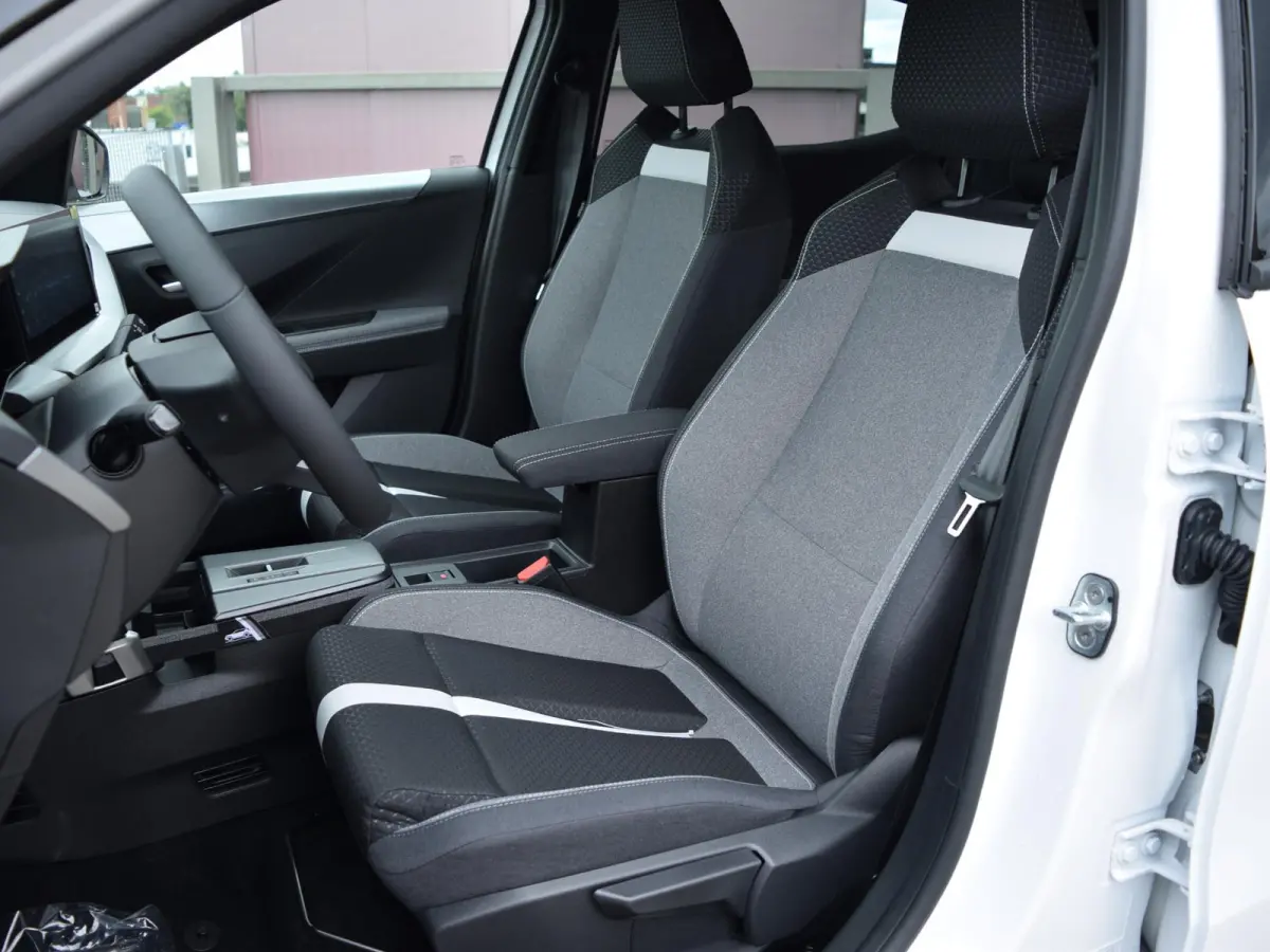 1.2 Turbo Hybrid GS Techno pakket | Winter pakket