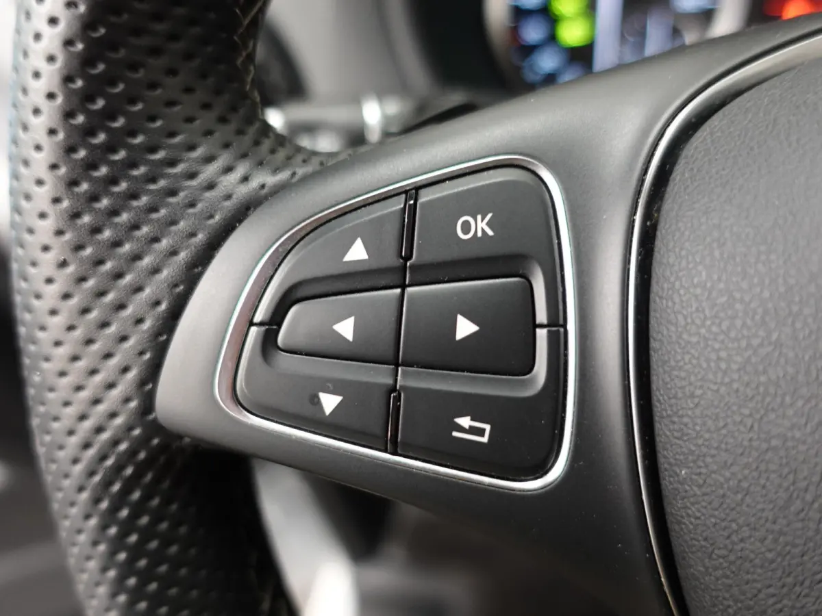 Lang 66 kWh Automaat Airco Cruise Leder Camera Navigatie