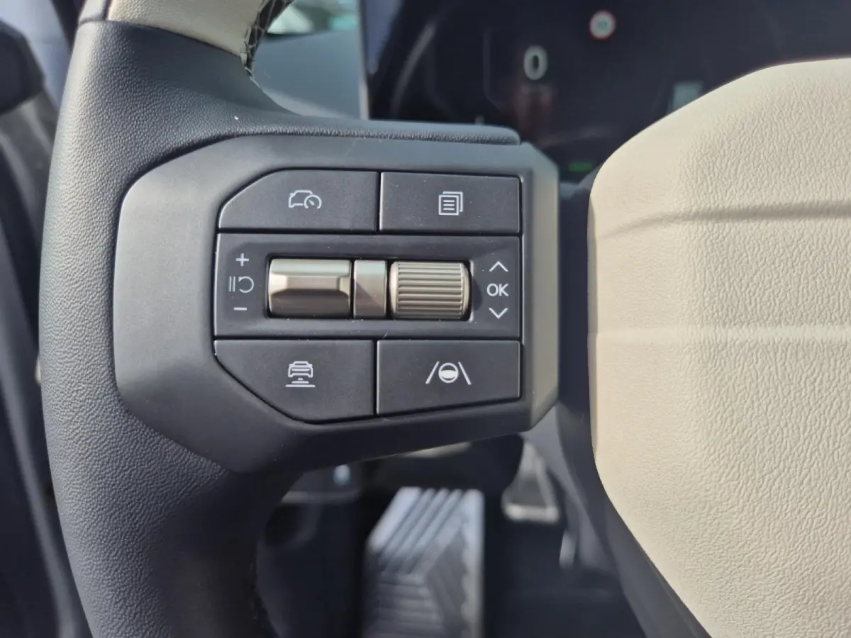 GT-Line Business Edition 81.4 kWh | Climate Control | Cruise Control | Stoelverwarming | Stuurverwarming | Dode Hoek Indicatie | Apple Carplay/Android Auto | Camera | Zwarte Logo's |