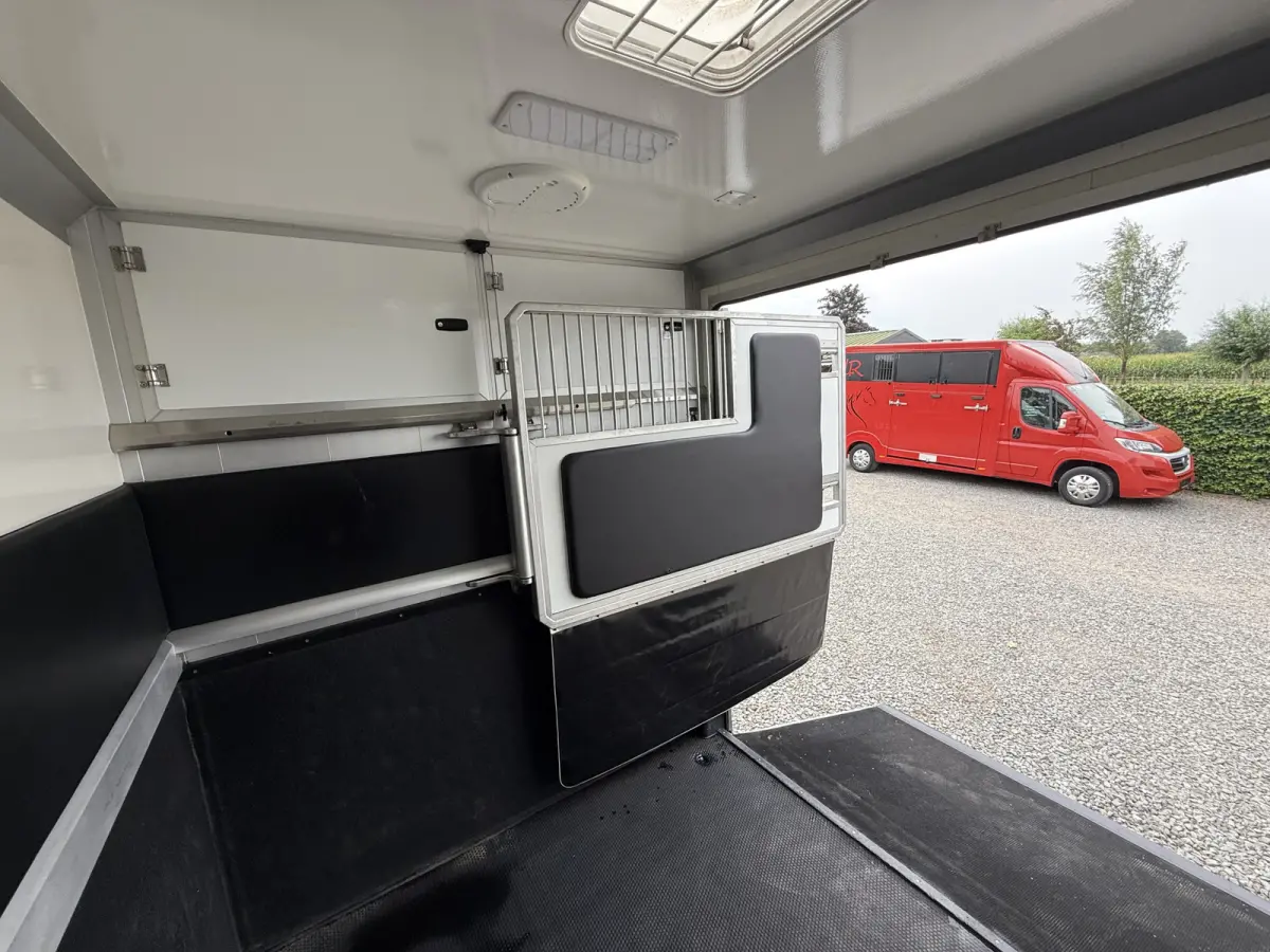 | HORSETRUCK | STX | STALLION 2XL | 2022 | AUTOMATIC | HENGST | 117.907KM | 2-SEAT | L3 | 160PK | LUXE | BELGISCH KENTEKEN