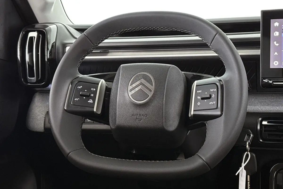 Max 113pk Comfort Range 44 kWh Camera Apple CarPlay Dodehoek