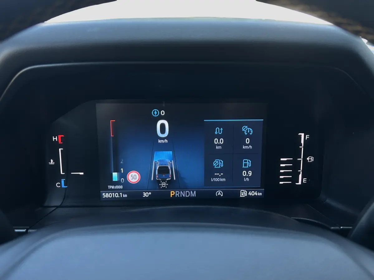 2.0 EcoBlue Wildtrak | Trekhaak | 360 camera | Stoelverwarming | Cruise Control