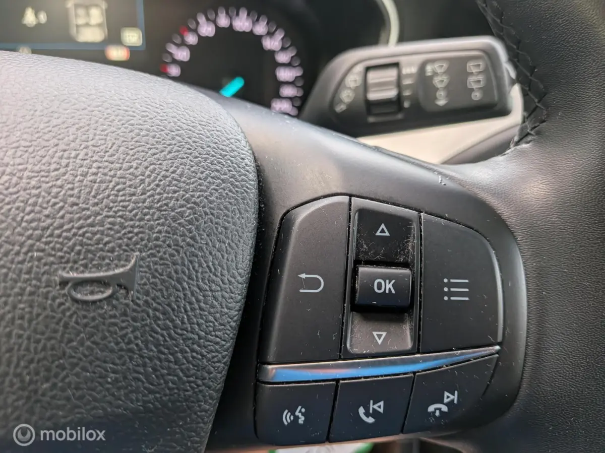 1.0 EcoBoost Hybrid Trend Edition Business